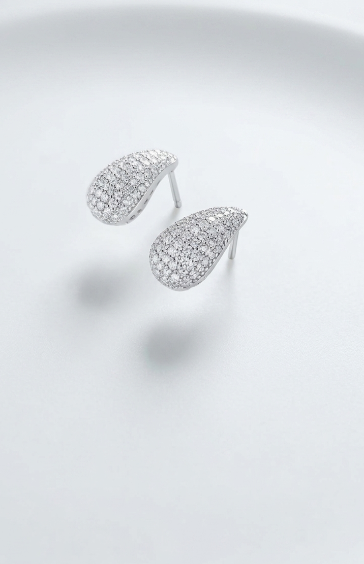 Silver 925 Cristina Earrings