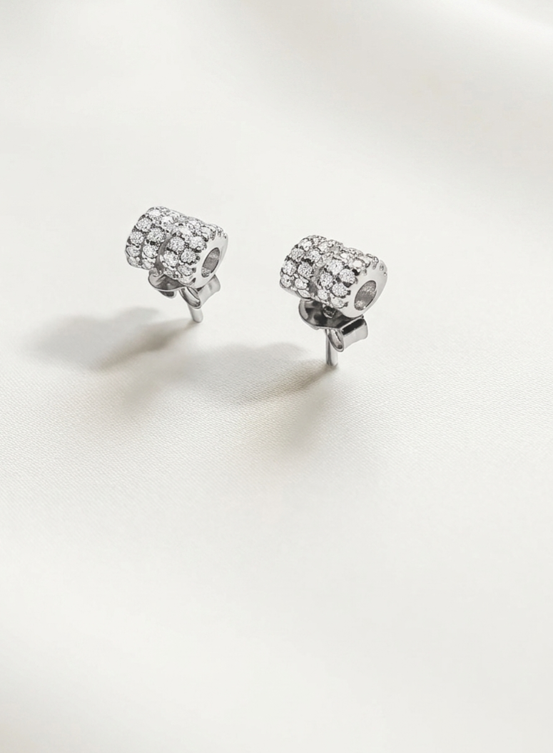 Silver 925 DMS Earrings