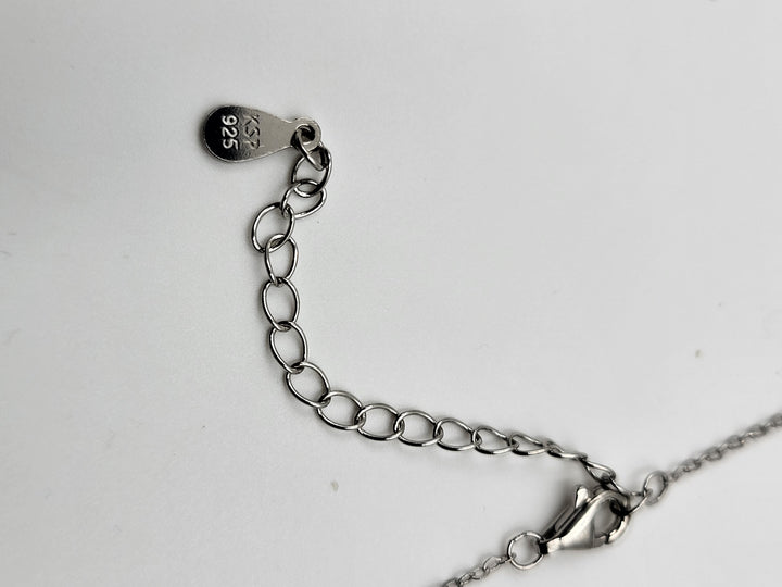 Silver Blue Fish Pendant Set