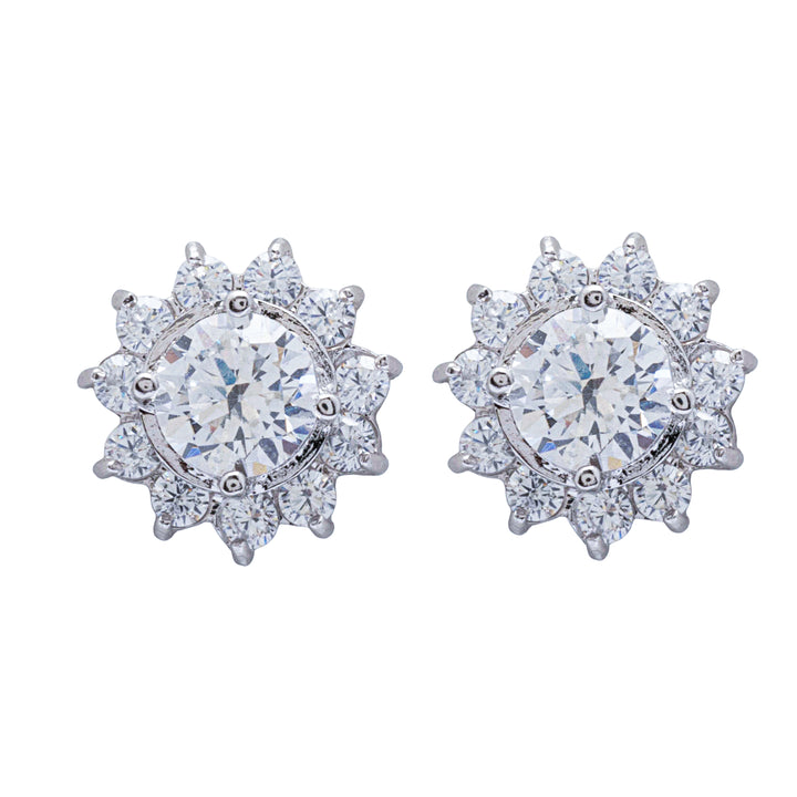 Silver Shine Earrings