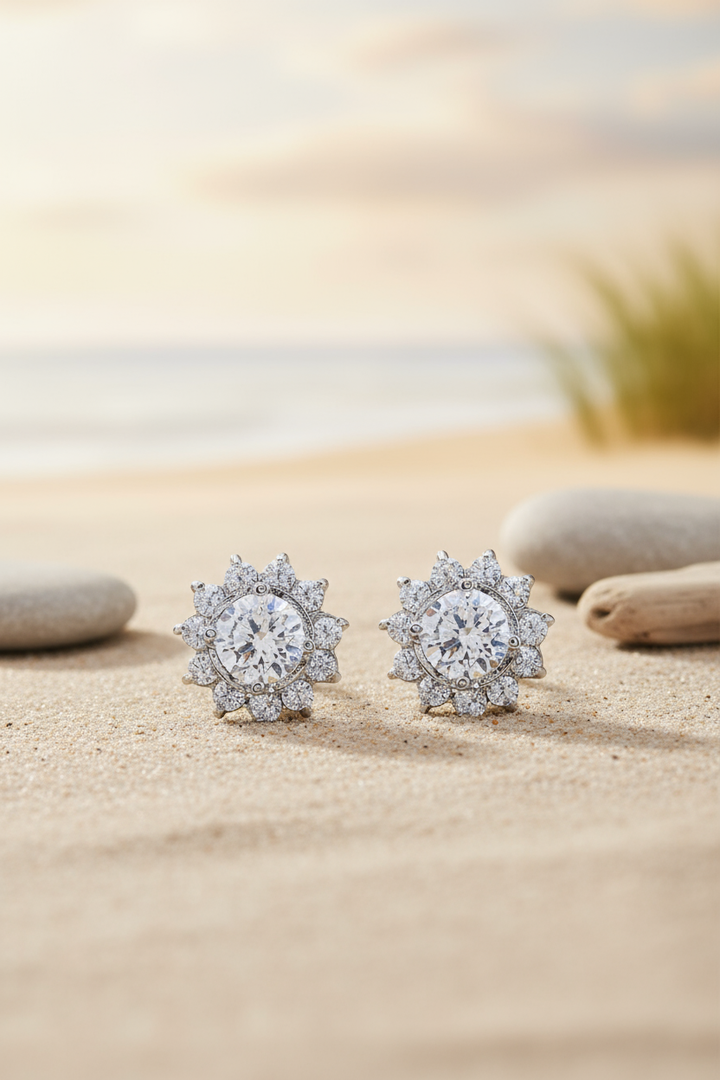 Silver Shine Earrings