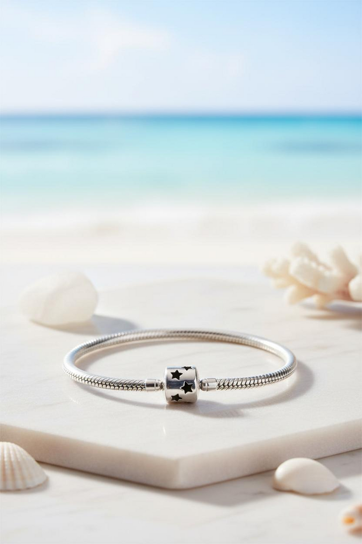 Silver Black Pandora Bracelet